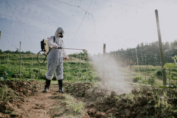Best Wasp Removal Services  in South Browning, MT
