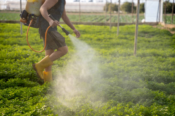 Best Residential Pest Control  in South Browning, MT
