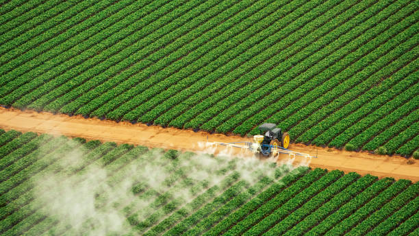 Best Pest Inspection Near Me  in South Browning, MT
