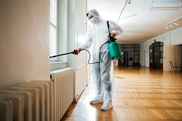 Best Affordable Pest Control Services  in South Browning, MT