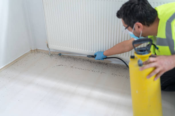 Best Best Pest Control Companies  in South Browning, MT