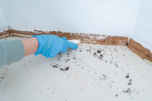  South Browning, MT Pest Control Pros