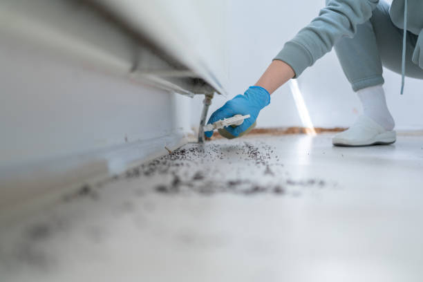 Professional Pest Control in South Browning, MT